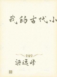 我的古代小夫侍