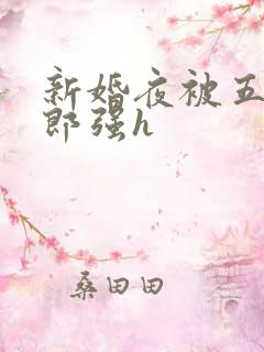 新婚夜被五个伴郎强h