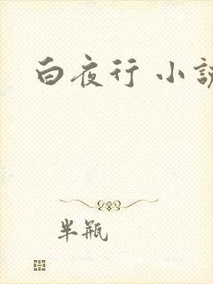 白夜行 小说