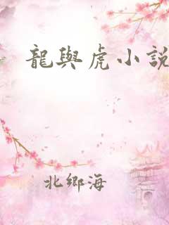 龙与虎小说