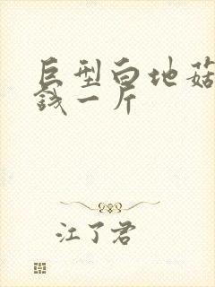 巨型白地菇多少钱一斤