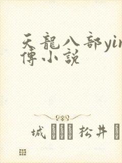 天龙八部yin传小说