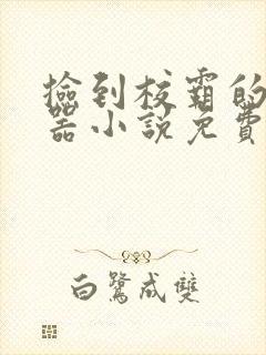 捡到校霸的遥控器小说免费阅读