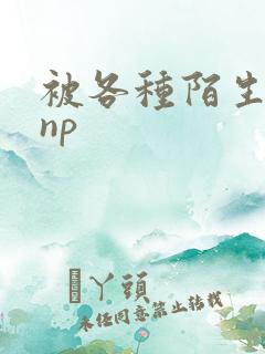 被各种陌生人 np