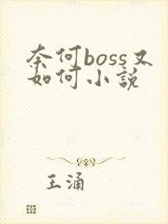 奈何boss又如何小说