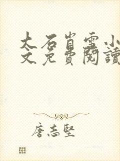 大石肖雪小说全文免费阅读