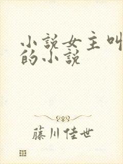 小说女主叫洛蓝的小说