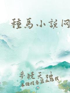 种马小说网