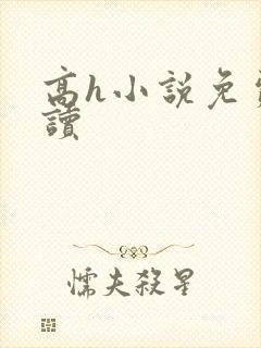 高h小说免费阅读