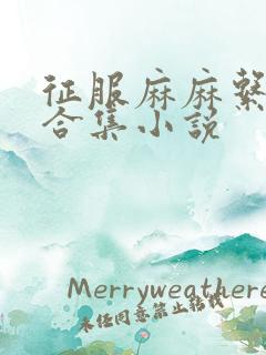 征服麻麻系列大合集小说