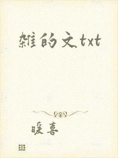 杂的文txt