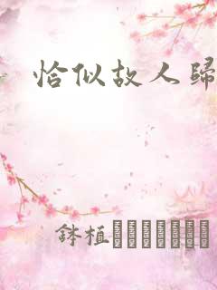 恰似故人归小说