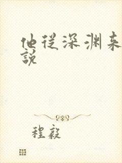 他从深渊来 小说