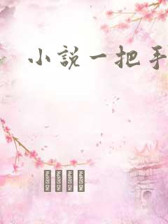 小说一把手