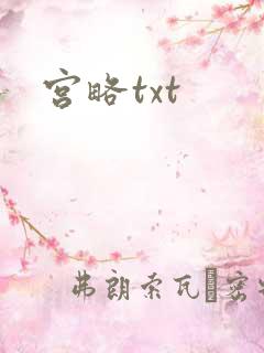宫略txt