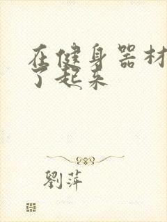 在健身器材上做了起来