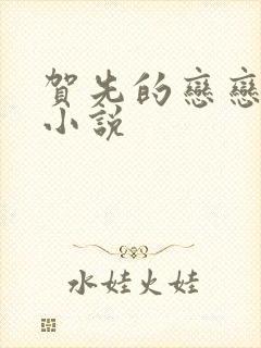 贺先的恋恋不忘小说