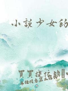 小说少女的心