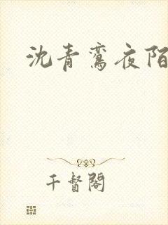 沈青鸾夜陌凌