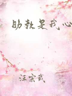 助教是我心尖宠