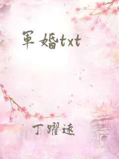 军婚txt