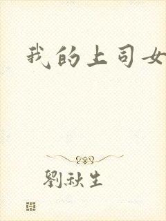 我的上司女魔头