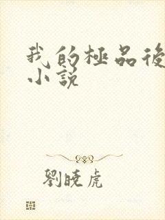 我的极品后宫 小说