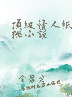 顶级情人纸皮核桃小说