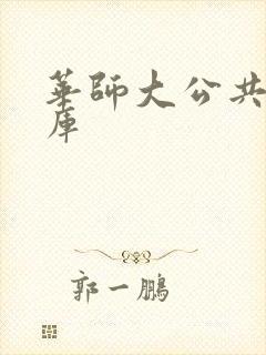 华师大公共数据库