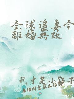 全球追妻令老婆离婚无效