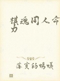 棋魂同人命运之力