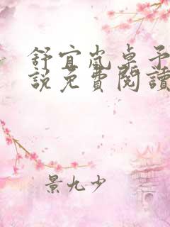 舒宜岚卓予淮小说免费阅读