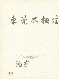 东莞不相信眼泪