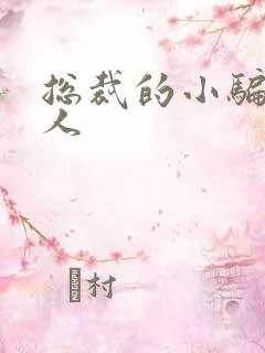 总裁的小骗子情人