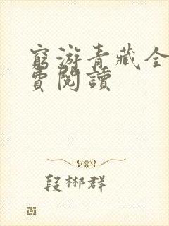 穷游青藏全文免费阅读