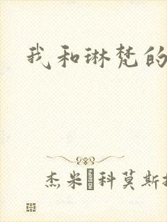我和琳梵的故事