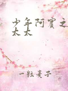 少年阿宾之房东太太