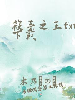 杀手之王txt下载