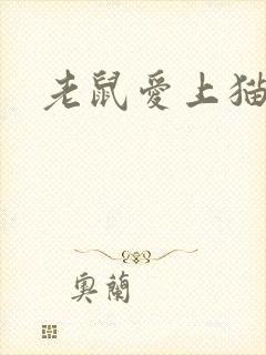 老鼠爱上猫下载