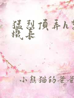 猛烈顶弄h禁欲机长