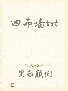 四面墙txt