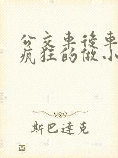 公交车后车座的疯狂的做小