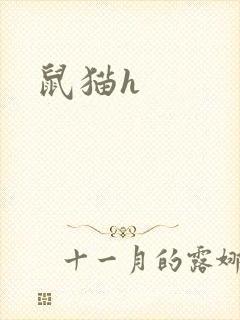 鼠猫h