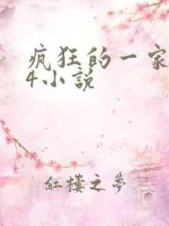 疯狂的一家PS4小说