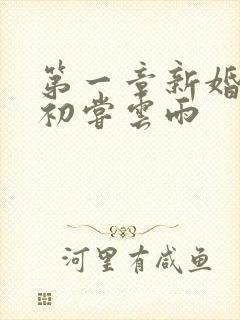 第一章新婚少妇初尝云雨