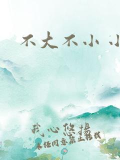 不大不小 小说