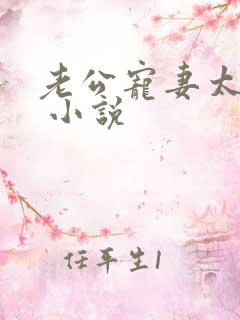 老公宠妻太甜蜜 小说