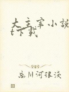 大主宰小说txt下载