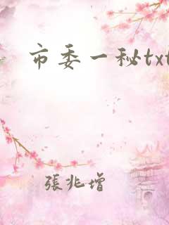 市委一秘txt