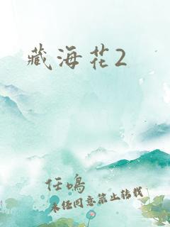 藏海花2